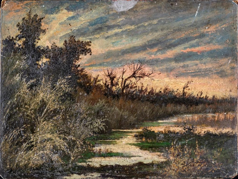 Paesaggio paludoso